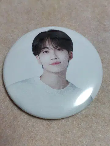 SEVENTEEN 세부치 정한 cafe 캔뱃지