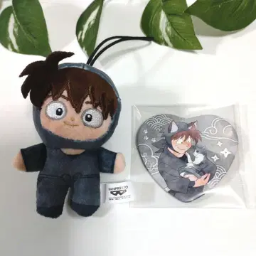 도이 한스케 호와누이 캔뱃지 2개 세트