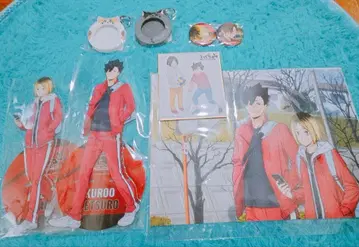 TOHO DVD 구매 혜택