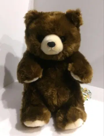 CUTE 큐트 BIG 봉제 인형 베어 곰 곰