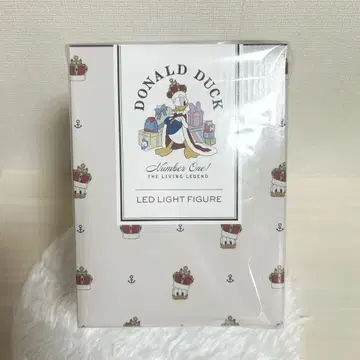 도날드 LED 조명 DONALD THE KING BIRTHDAY