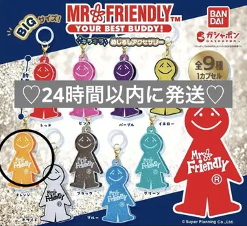 MR.FRIENDLY 미스터 프렌드 가챠가챠 메지루시 액세서리