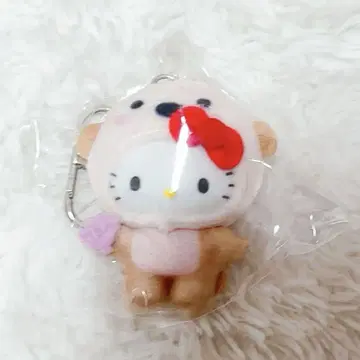 조금도 키티