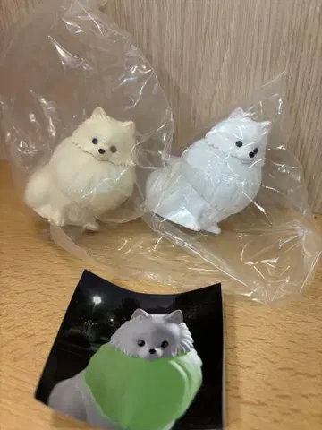 산책 포메 라이트 가챠 가챠가챠 미개봉 새상품