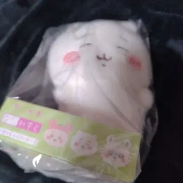 치이카와 (먼작귀) 피타레스토 포테모후 시리즈 봉제 인형 치이짱 미확인