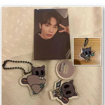 다고냥 캡슐 토이 트레이딩 카드 풀바투 팝업 태현