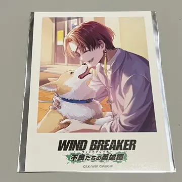WIND BREAKER 불량들의 영웅담 폴라로이드 카드 소샹샹