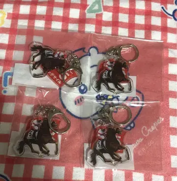 다논데사일 노던 호스 파크 모바 가챠 2줄 아크링 키링