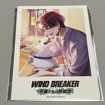 WIND BREAKER 불량들의 영웅담 폴라로이드 카드 소샹샹