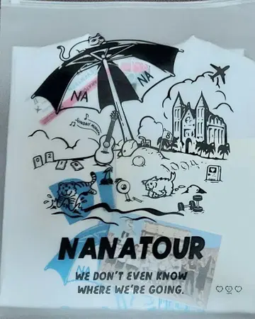 SEVENTEEN NANATOUR 나나 투어 디노 티셔츠 L 사이즈