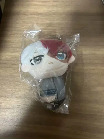 테테코레 토도로키 쇼토