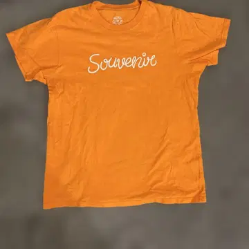 BUMP OF CHICKEN Souvenir 티셔츠 M 사이즈 오렌지