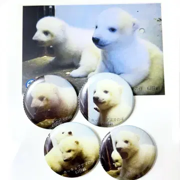 야기야마 북극곰 쌍둥이 캔뱃지와 엽서