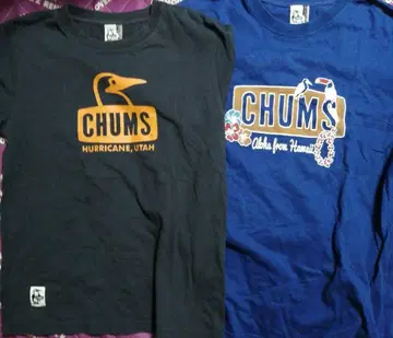 CHUMS 티셔츠 2장 세트