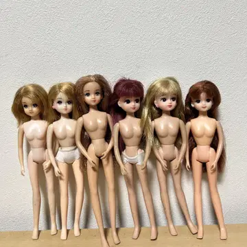 리카짱 인형 6개 세트 묶음 판매