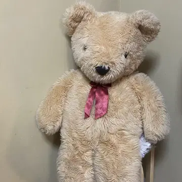 큰 곰 봉제 인형
