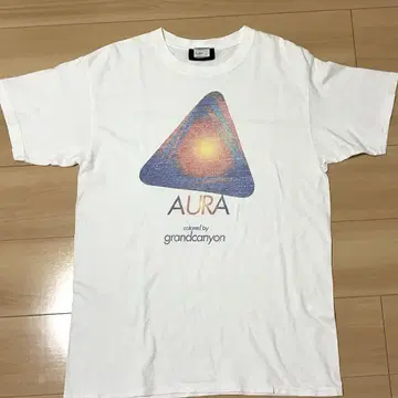 anvil grandcanyon Tee AURA L 사이즈 싱글 스티치