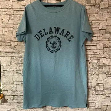 챔피온 런택 복각 DELAWARE 칼리지 반팔 맨투맨