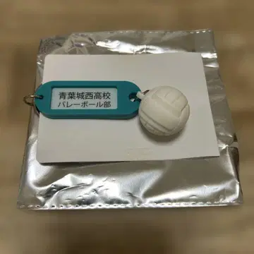 하이큐!! 아오바조니시