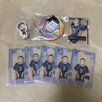 하이큐 팬 파크 아즈마네 아사히 컬렉션 캔뱃지 스티커 카드