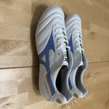 미즈노 모레리아 2