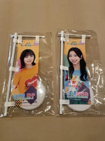 히나타자카 뮤직 퍼레이드 미니 깃발 2개 세트