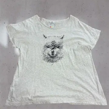 UNISON SQUARE GARDEN 스즈키의 알파카 티셔츠 S 사이즈