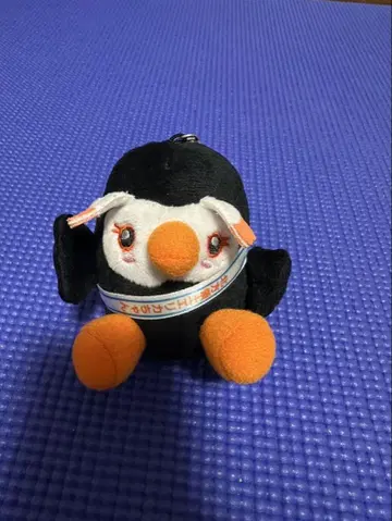 북방 영토 에리카짱