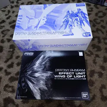 RG 1/144 데스티니 건담 티타늄 피니쉬 빛의 날개 세트