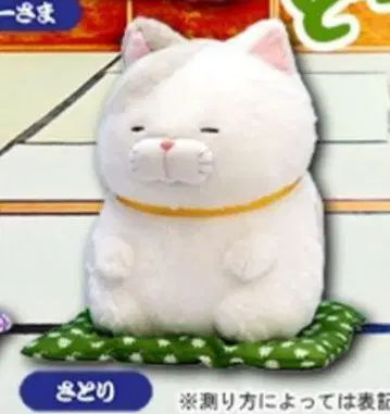 사토리 히게만주 정좌 2 울트라 BIG 봉제 인형