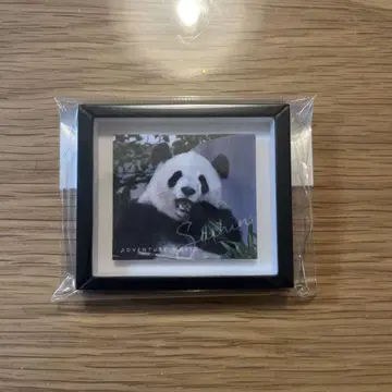 사야하마 프레임 마그넷 어드벤처 월드