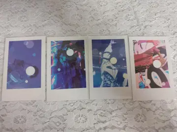 실물 폴라로이드 사진