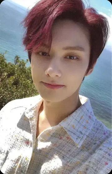 SEVENTEEN JUN [Heng:garae] 트레이딩 카드 DUL