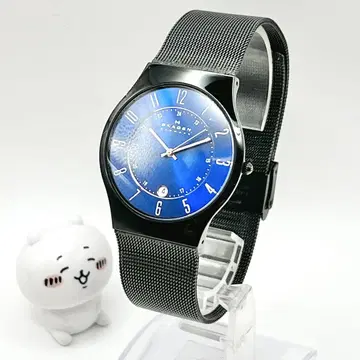 SKAGEN 스카겐 파랑 다이얼 메쉬 밴딩 손목시계 쿼츠