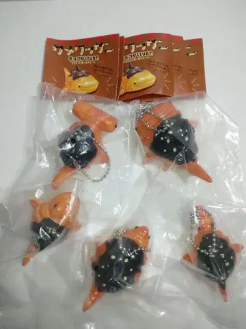 사메와산 초코가케 마스코트 볼 체인 5종 컴플리트
