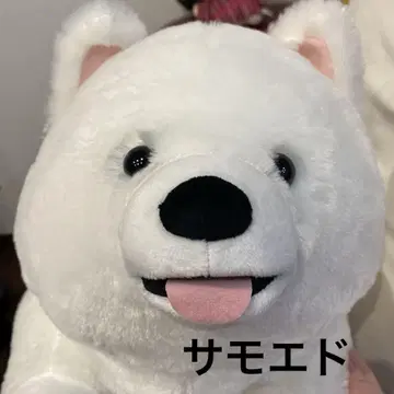 FANS 사모에드 강아지 봉제 인형