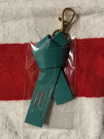 BUDDiiS 지역 리본 키링