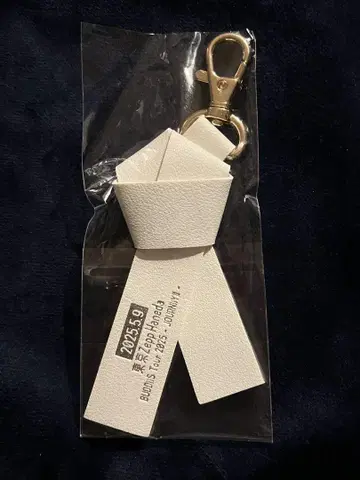 BUDDiiS 지역 리본 키링