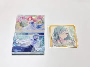 프로세카 노블 아트 컬렉션 vol.42 모아잔 허벅지