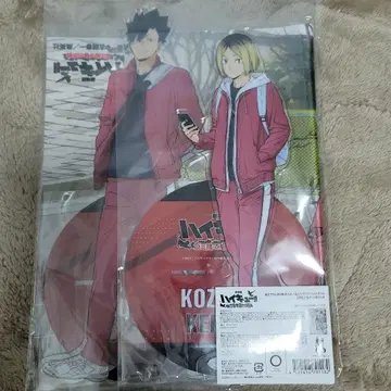 하이큐 쓰레기장 결전 빅 아크릴 스탠드