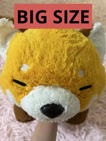 BIG SIZE 너구리 봉제 인형