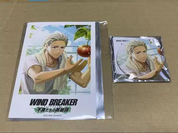WIND BREAKER 윈히로 폴로카 + 캔 버. 매실 궁일