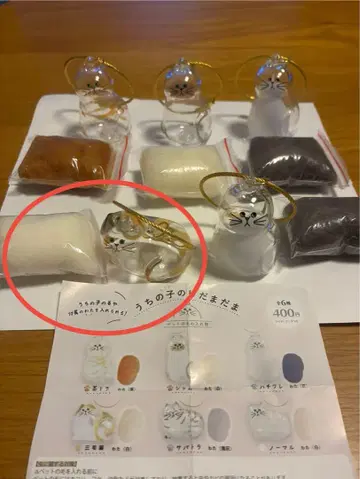 우리 집 고양이 케다마다마 [삼색 고양이]