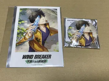 WIND BREAKER 윈히로 폴로카 + 캔 바 ver. 토가메조