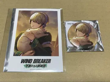 WIND BREAKER 윈히로 폴로카 + 캔바 ver. 가지 렌