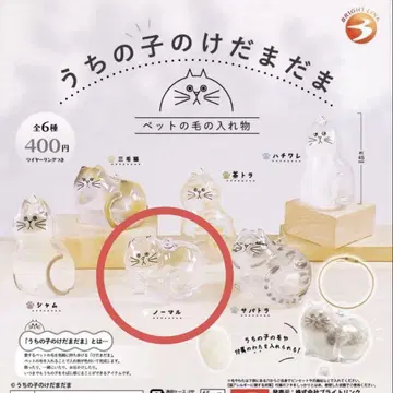 우리 아이의 케다마타마 캡슐 토이 노멀