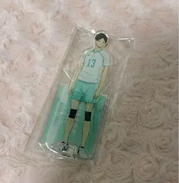 하이큐 연결 아크릴 스탠드 구니미 히데