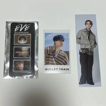 초특급 EVE 마사히로 미니 사진 사진 그레이 부품 에포스 책갈피