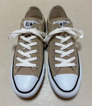 컨버스 올스타 베이지 24cm OX