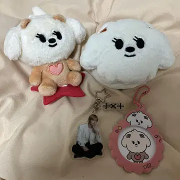 풀바투 밤구 세트
